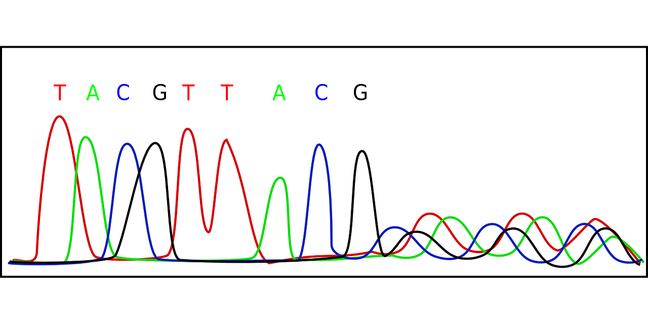 Sequence